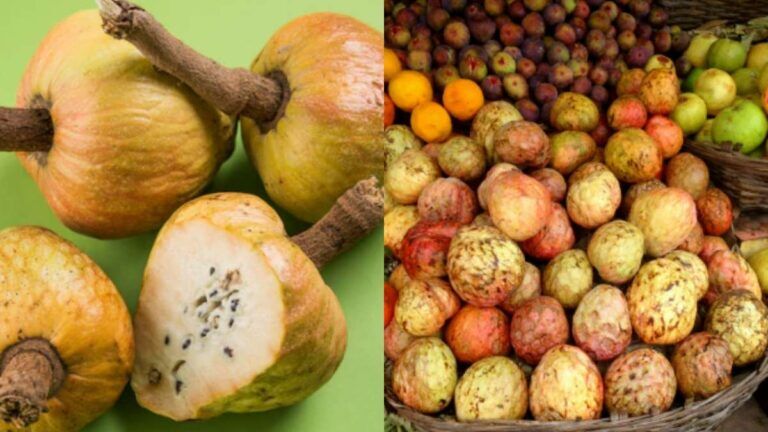Rahhal Native Ramphal Fruit: Health Benefits,Uses And Recipes | Dietitian Shubhra